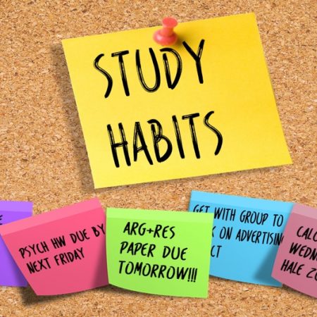 study tips