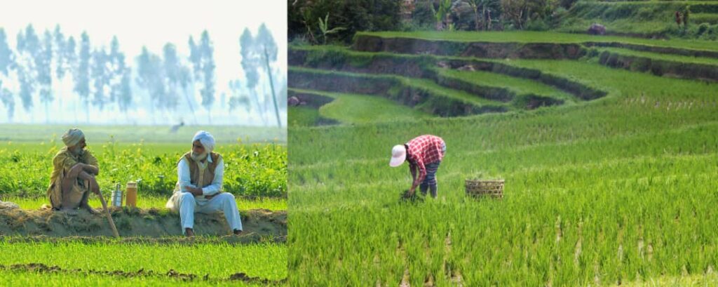 Two local farmers sitting across a grazing land 