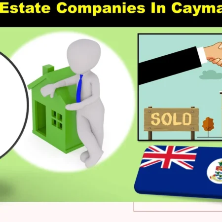 10 Best Real Estate Companies In the Cayman Islands