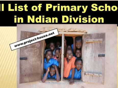 Full List of Primary Schools in Ndian Division