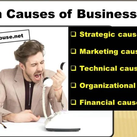 28 Main Causes of Business Failure